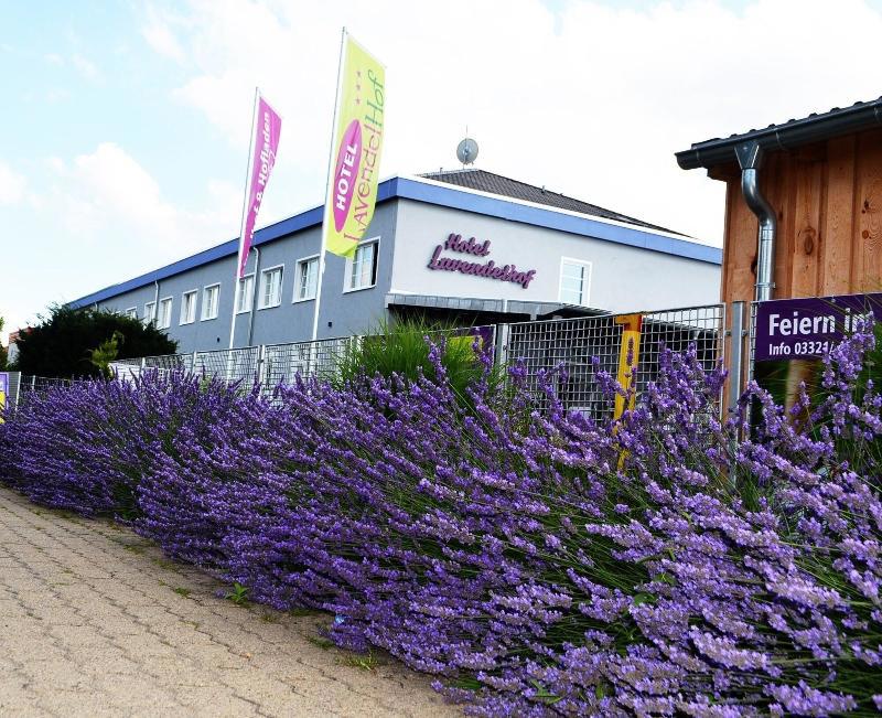 Hotel Lavendelhof & Eselhof Nauen galeri fotoğrafı