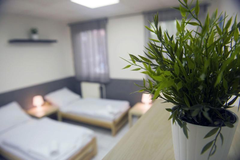 Hostel Seven fotoğrafı