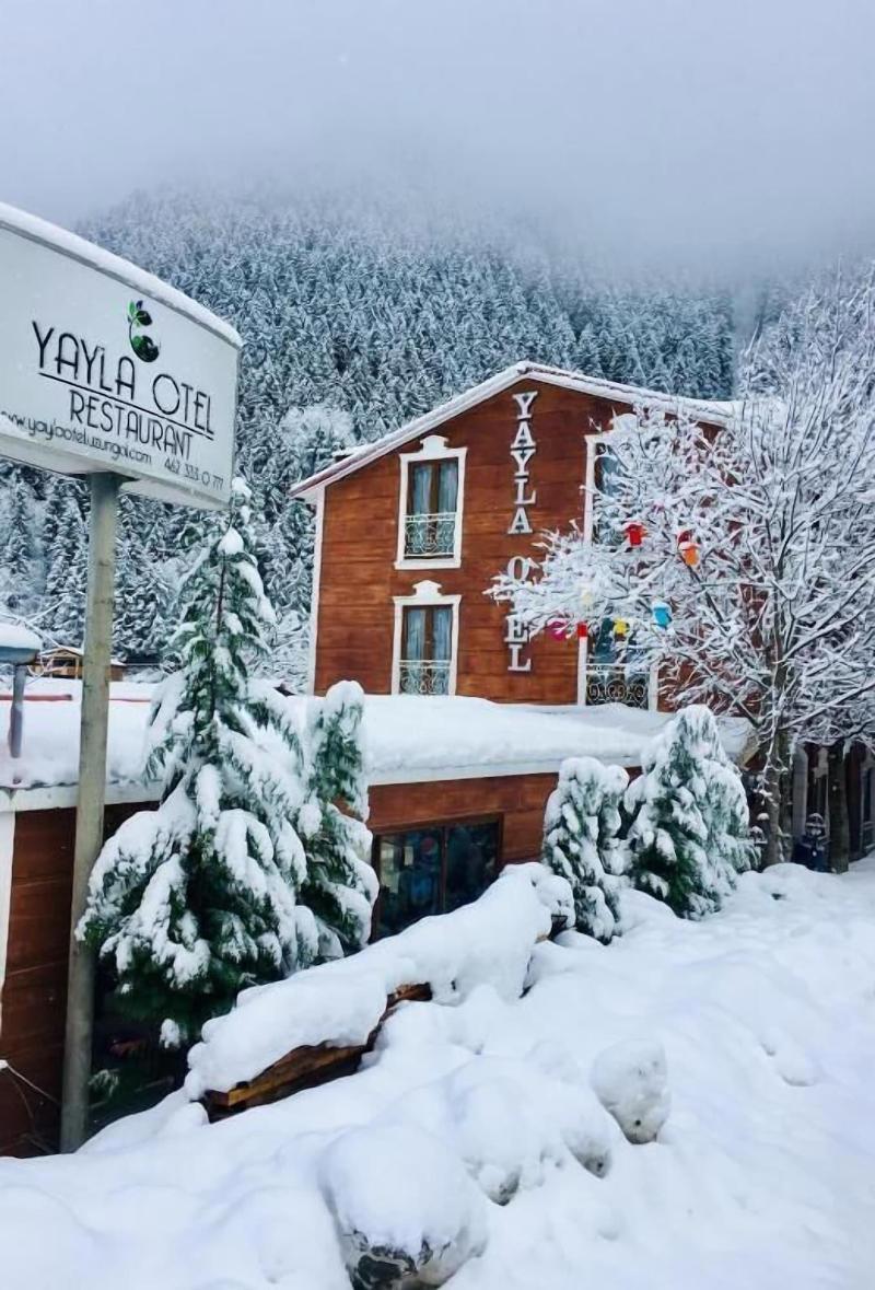 Yayla Hotel