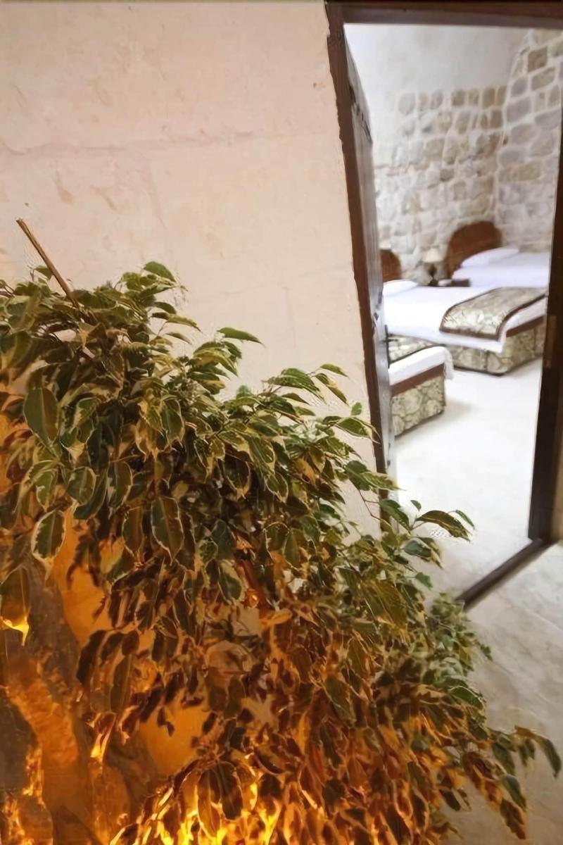 Dara Konagi galeri fotoğrafı