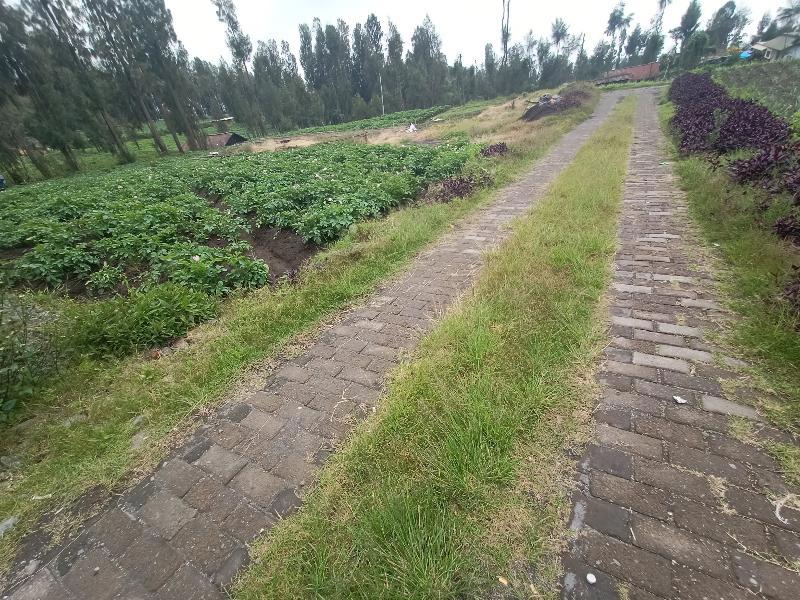 Elen Homestay By Abm