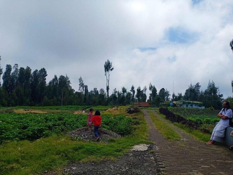 Elen Homestay By Abm