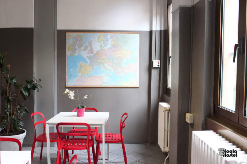 Koala Hostel