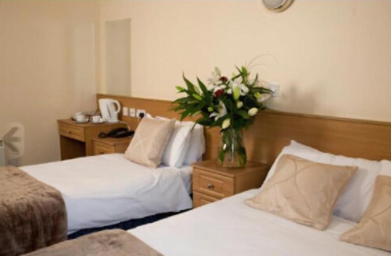 Celtic Lodge Guesthouse - Restaurant & Bar