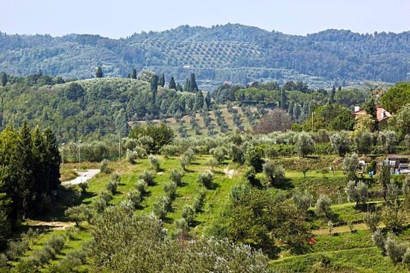 Hotel San Miniato galeri fotoğrafı