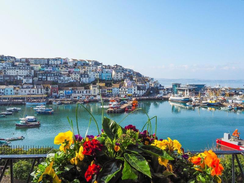 Harbour View