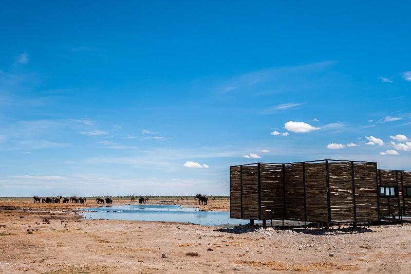 Etosha King Nehale
