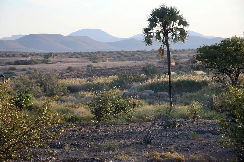 Palmwag Camping2go