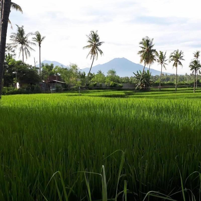 De Lungguh Family Homestay