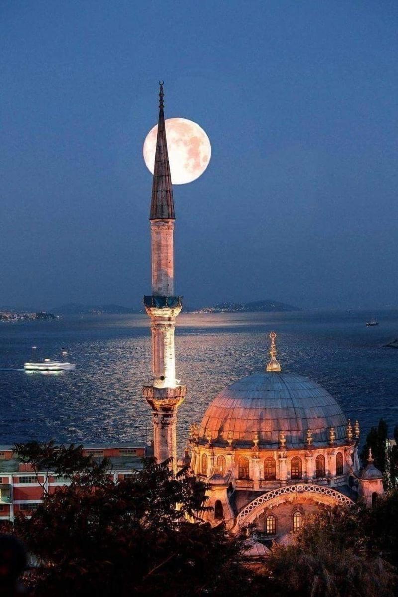 The Little Prince Hotel