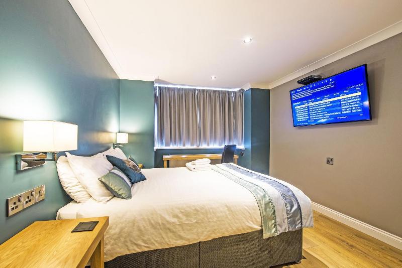 Dolphin Rooms