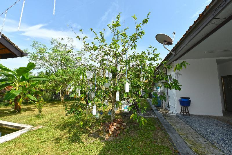 Capital O 90558 My Daddy Farm Chalet