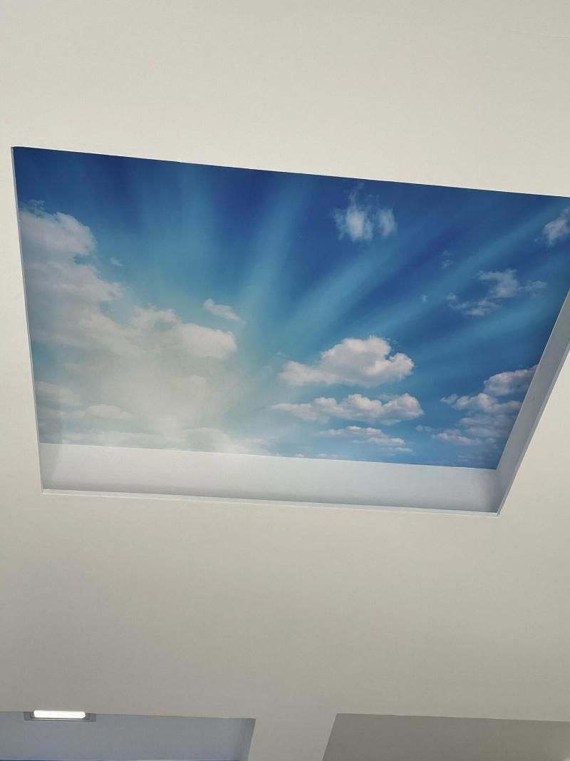 Aureo Alojamiento Urbano