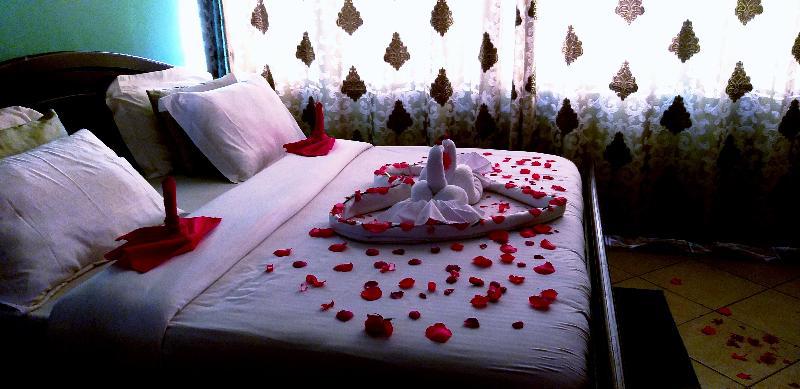 Alexander Hotel & Tours