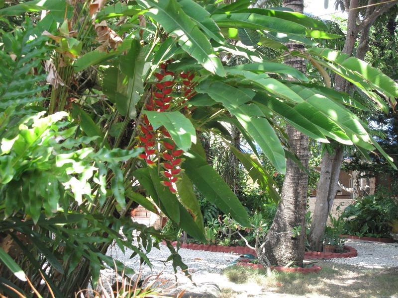 Bamboo Paradise Beach Resort