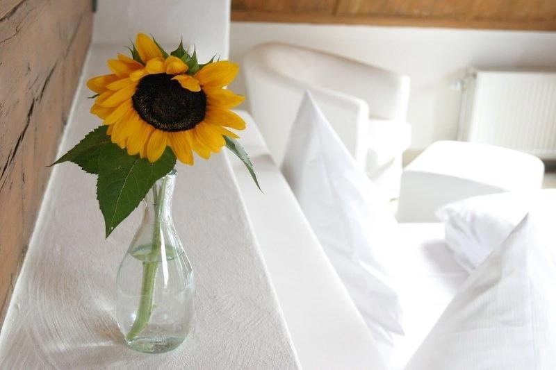 Landhotel Alte Muehle galeri fotoğrafı