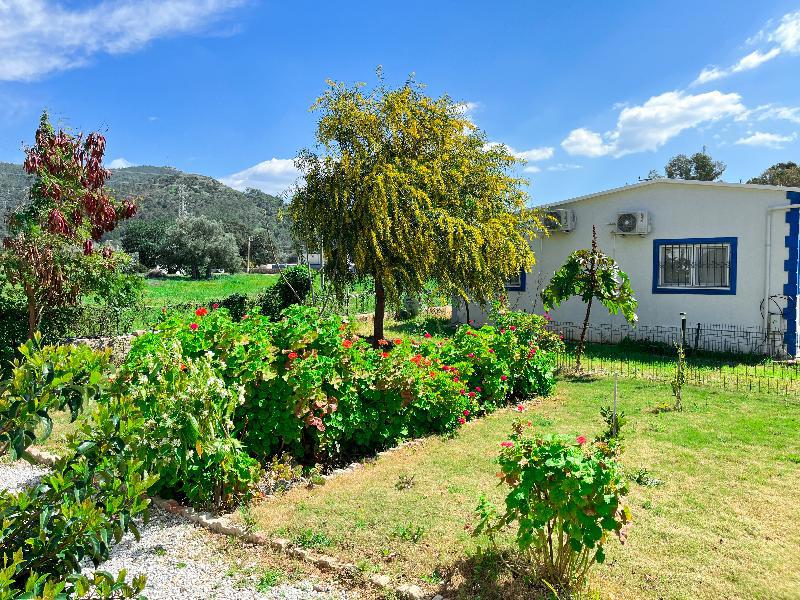 Yaliyani Motel Restaurant fotoğrafı