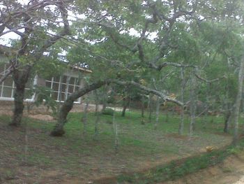 Cheltenham Park Resort