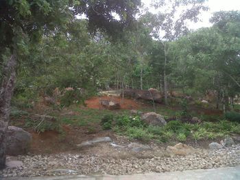 Cheltenham Park Resort