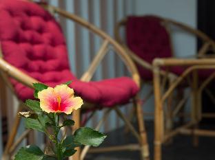 Dream Butterfly Garden Boutique Villa