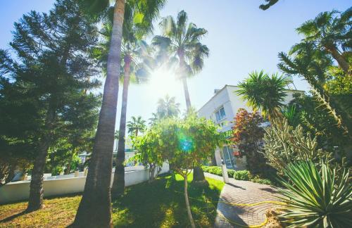 Pine Bay Boutique Hotel & Cakistes Restaurant