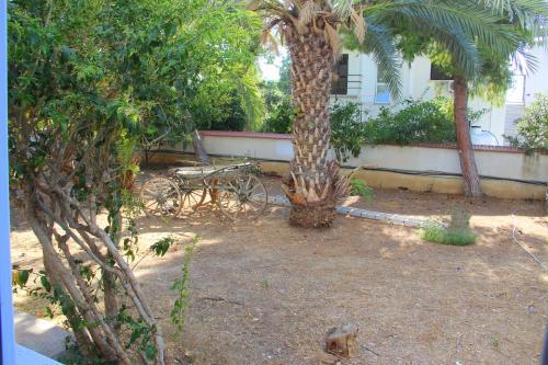 Pine Bay Boutique Hotel & Cakistes Restaurant