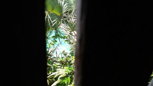 Diani Hostel