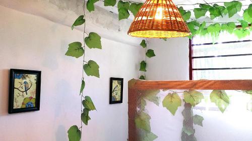 Diani Hostel