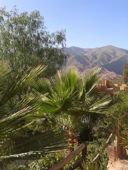 Gite Auberge Tigmmi N Tamazirte