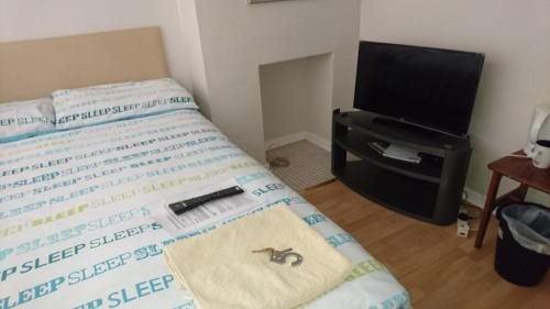 Room In Guest Room - Family Room Sleeps 3 With 1 Double And 1 Single Bed Ground Floor Private Shower