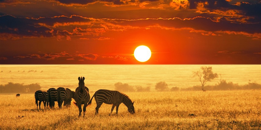 * VİZESİZ * - MUHTEŞEM GÜNEY AFRİKA - 2026 JOHANNESBURG (1) – SUN CITY (2) – CAPE TOWN (3)