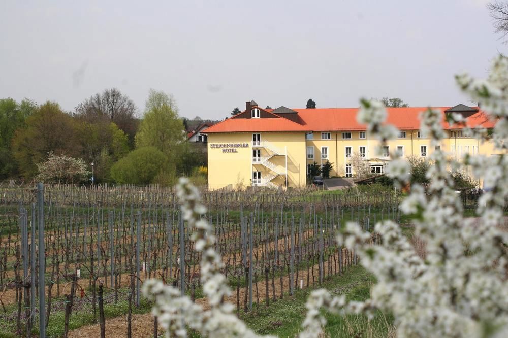 MAXX by Steigenberger Deidesheim fotoğrafı