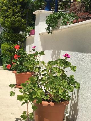 Dalyan Rota Hotel galeri fotoğrafı