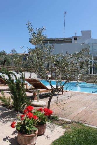 Alkistis Hotel galeri fotoğrafı