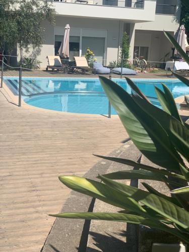 Alkistis Hotel galeri fotoğrafı