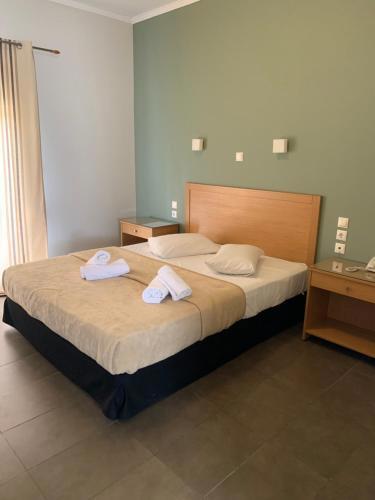 Alkistis Hotel fotoğrafı