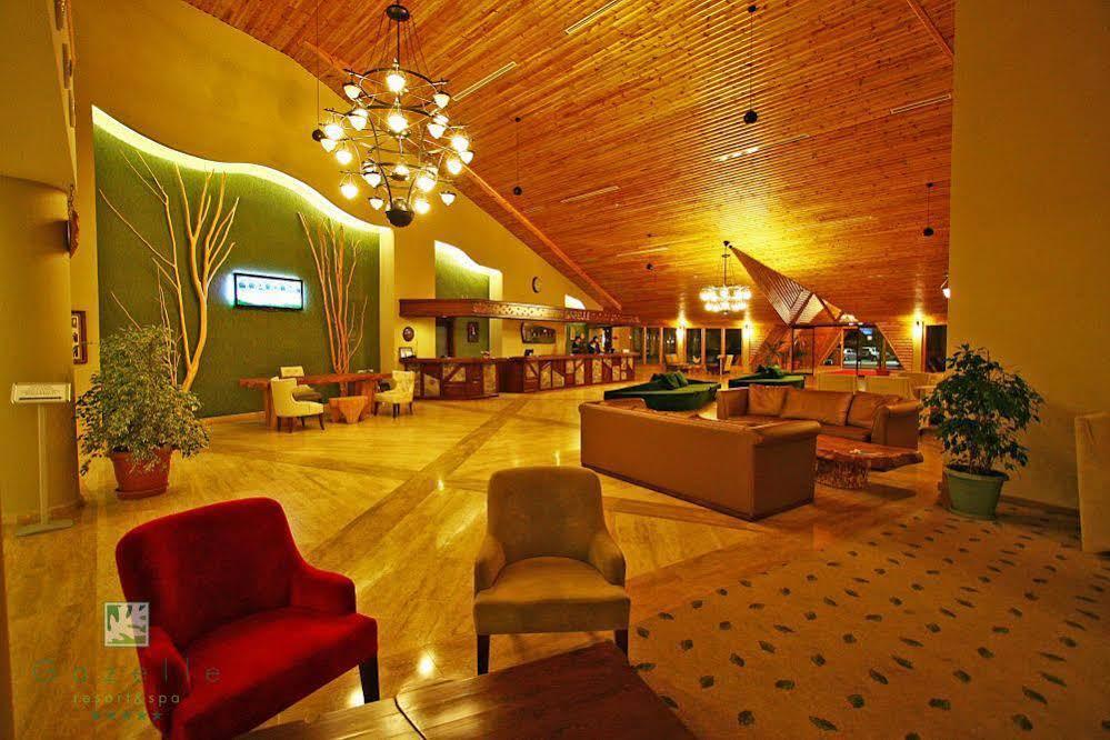 Gazelle Resort & Spa Otel