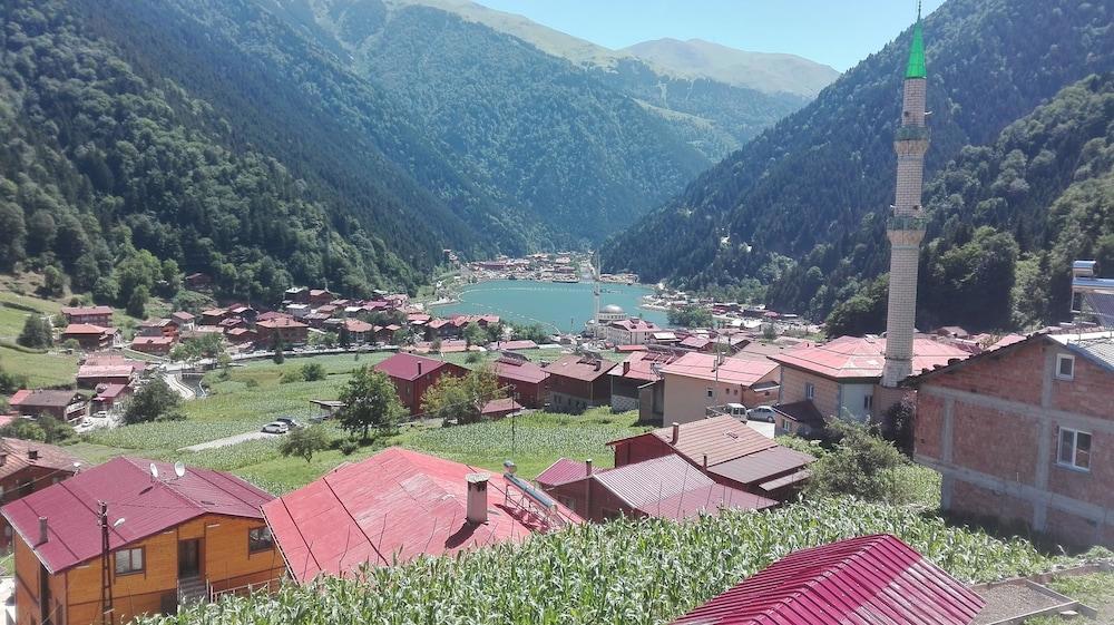 Kuzey Palace galeri fotoğrafı