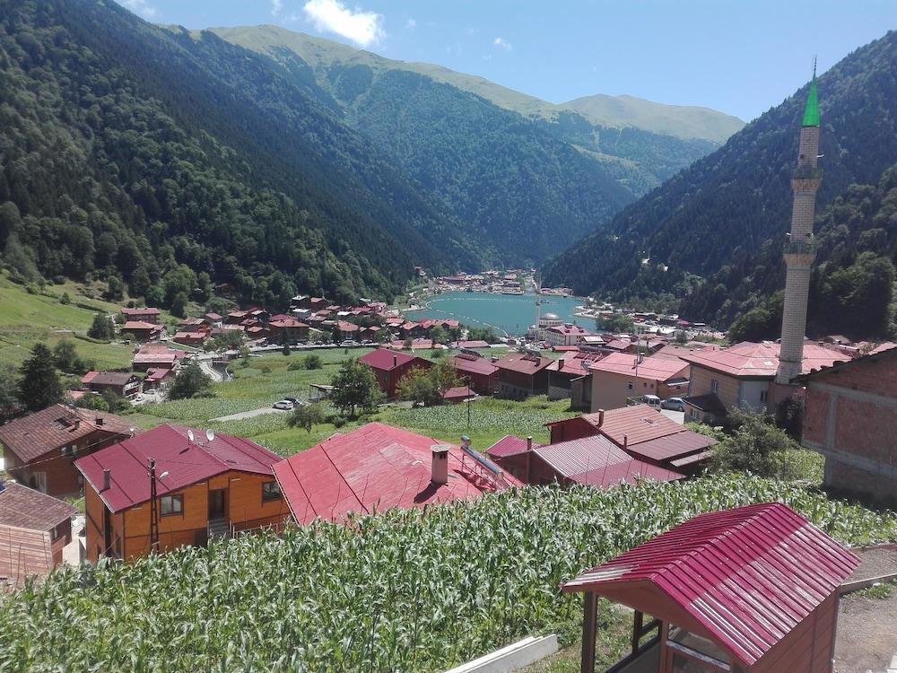 Kuzey Palace galeri fotoğrafı