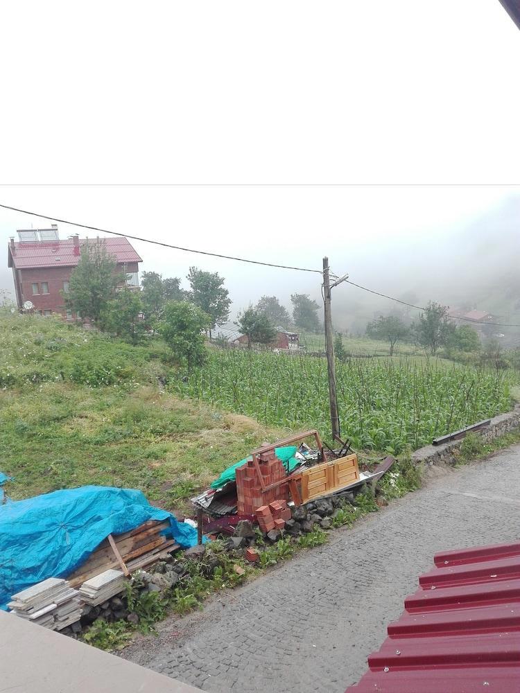 Kuzey Palace fotoğrafı