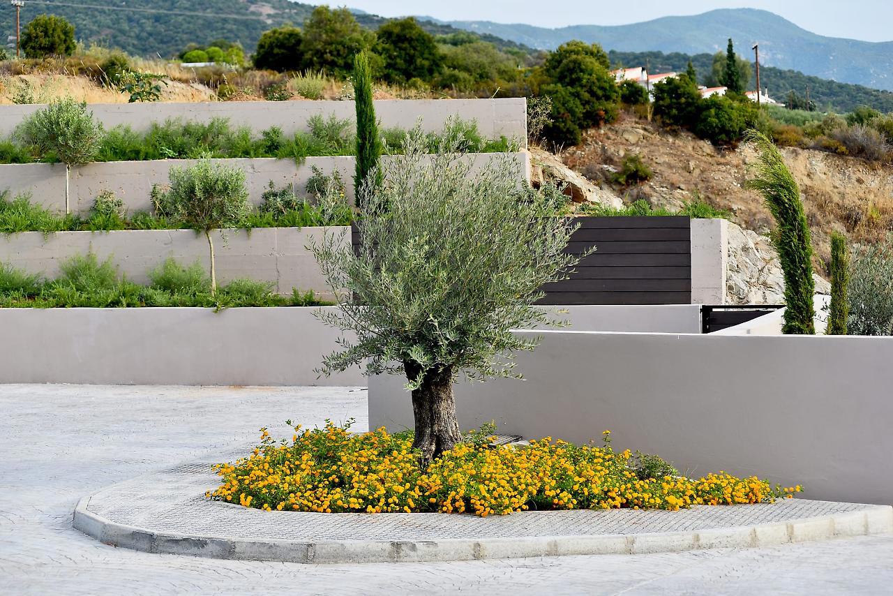 Anasa Luxury Resort fotoğrafı