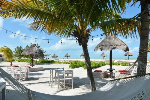 Blue Holbox