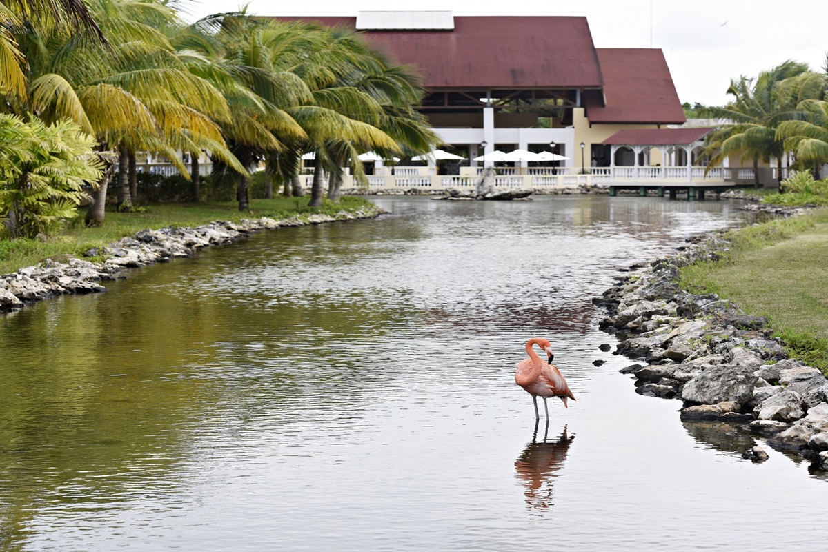 Memories Caribe Beach Resort - Adults Only  +16